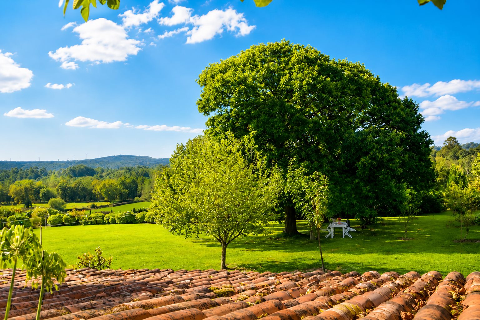 Exterior de la finca