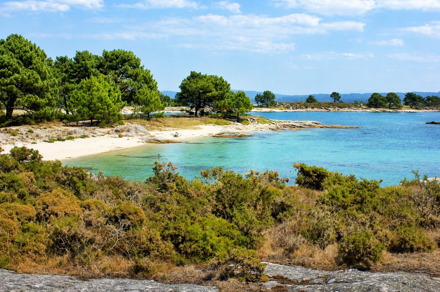 Illa de Arousa y parque natural de Carreirón