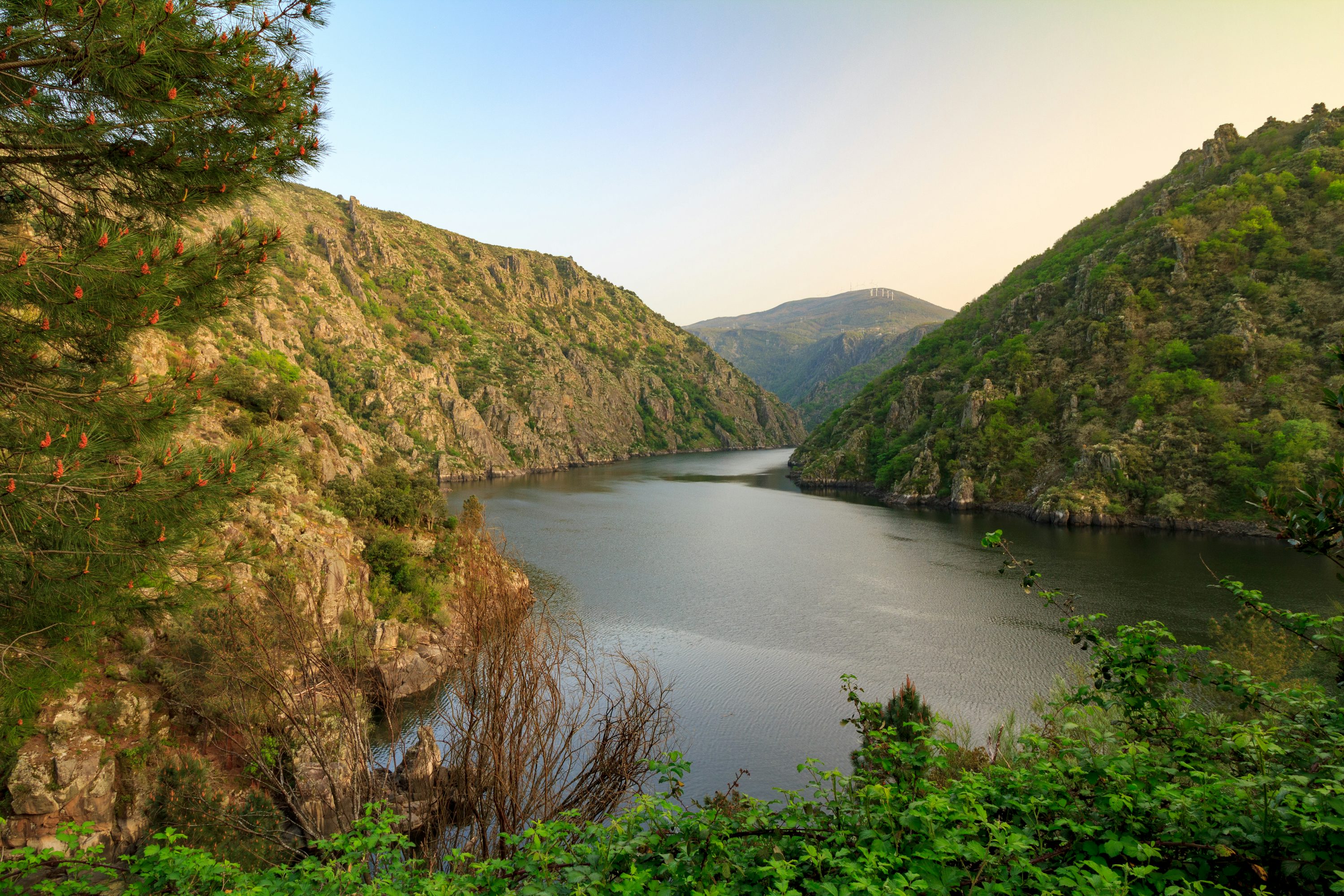 Miradores de Ribeira Sacra y Cañón del Sil